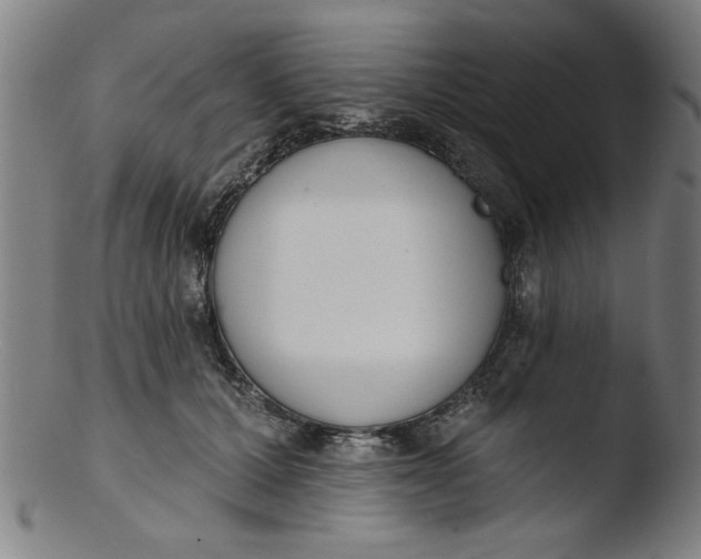 X0000103420607200809261709