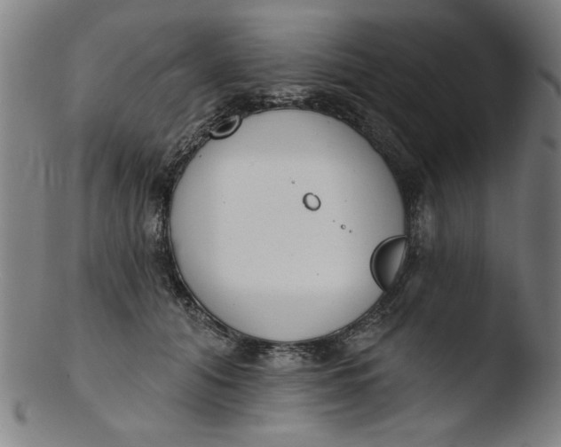 X0000103420608200809261709