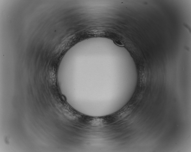 X0000103420609200809261709