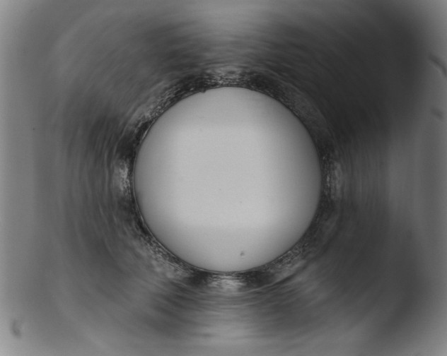 X0000103420610200809261709