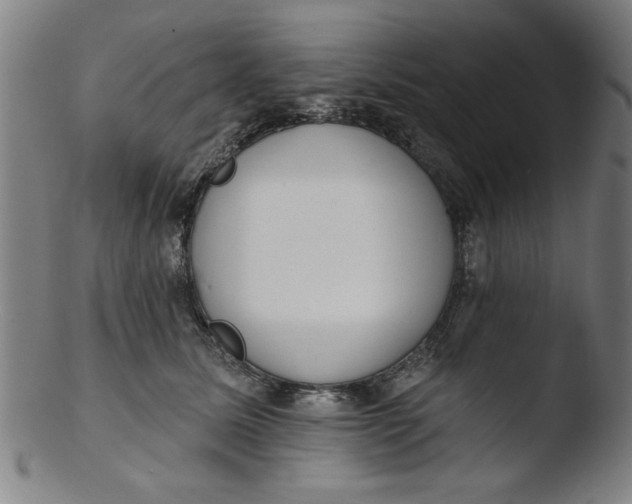 X0000103420611200809261709