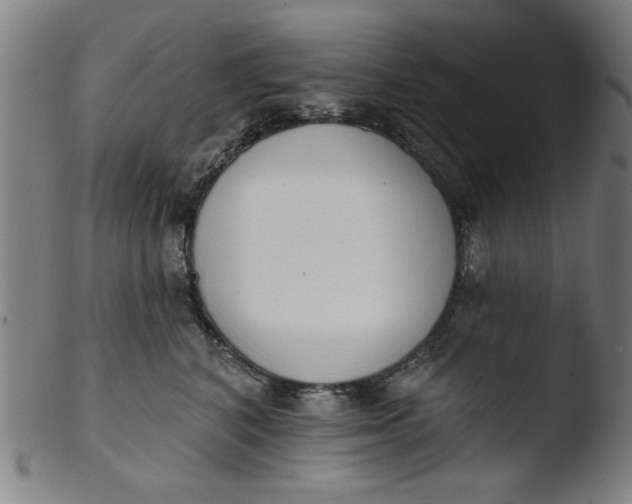 X0000103420616200809261708