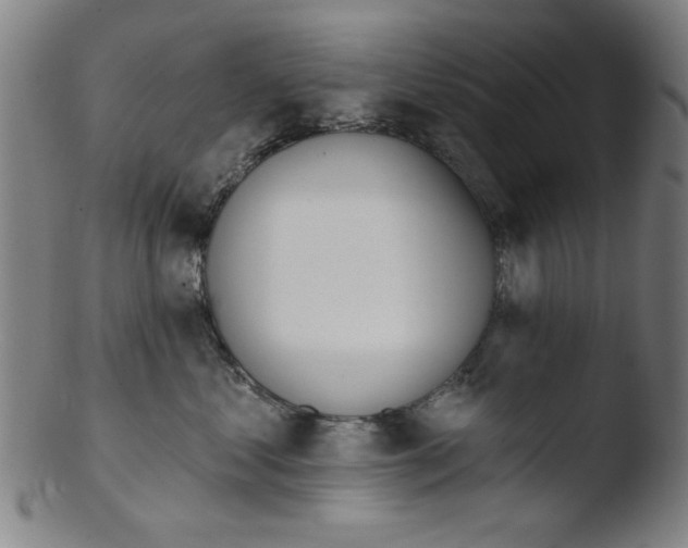 X0000103420621200809261708