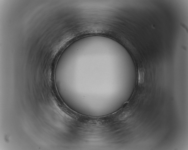 X0000103420627200809261708