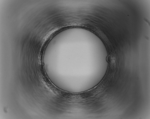 X0000103420628200809261708