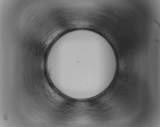 X0000103420629200809261708