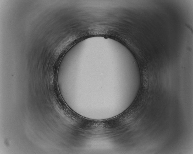 X0000103420631200809261708