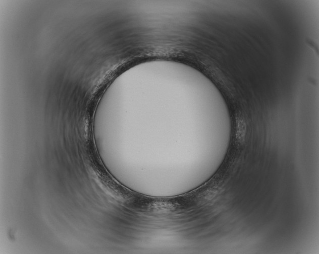 X0000103420636200809261708