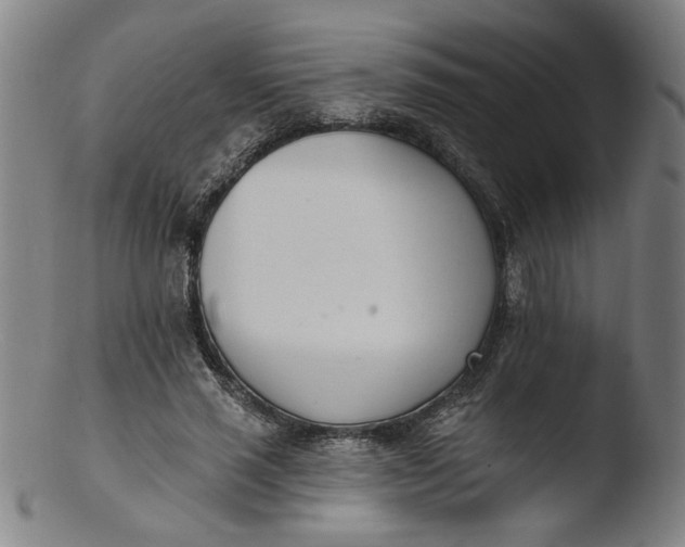 X0000103420637200809261708