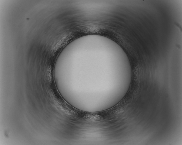 X0000103420642200809261708