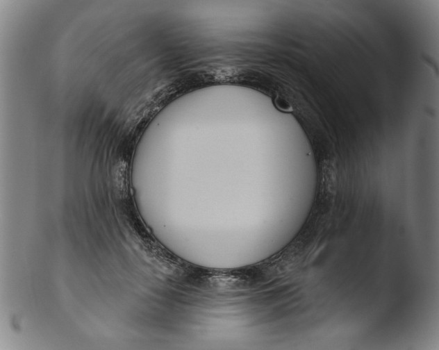 X0000103420650200809261708