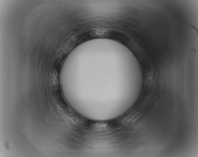 X0000103420651200809261708