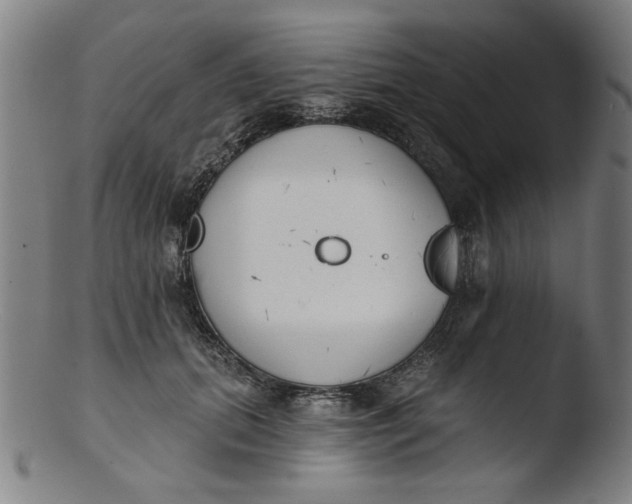 X0000103420655200809261708