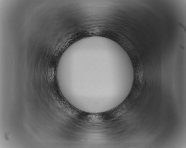 X0000103420660200809261708