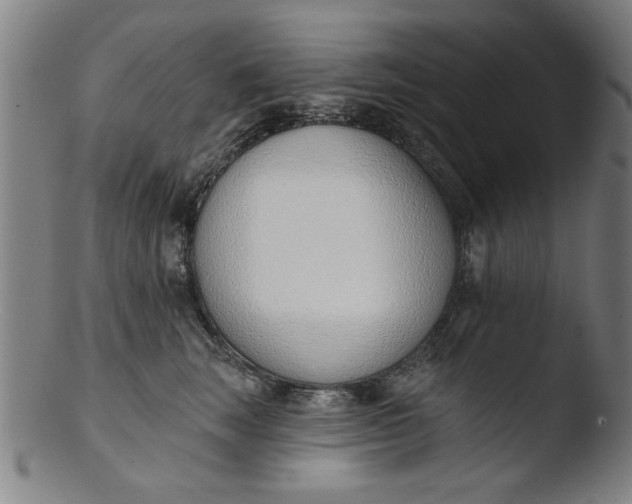 X0000103420663200809261708