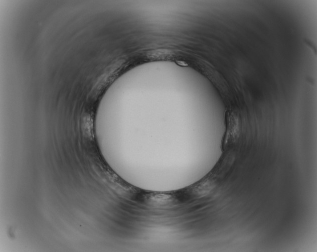 X0000103420669200809261708