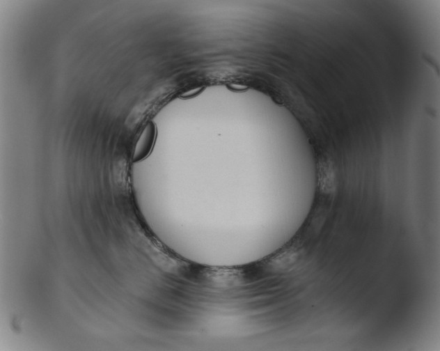 X0000103420670200809261708