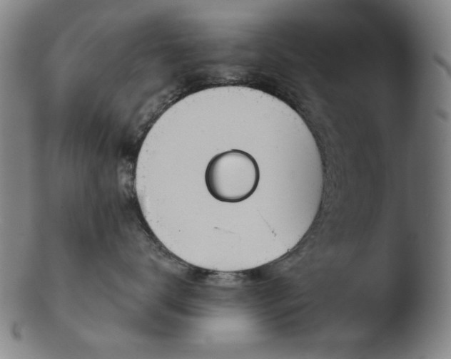 X0000103420672200809261708