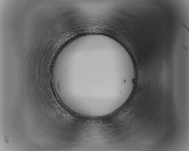 X0000103420673200809261707