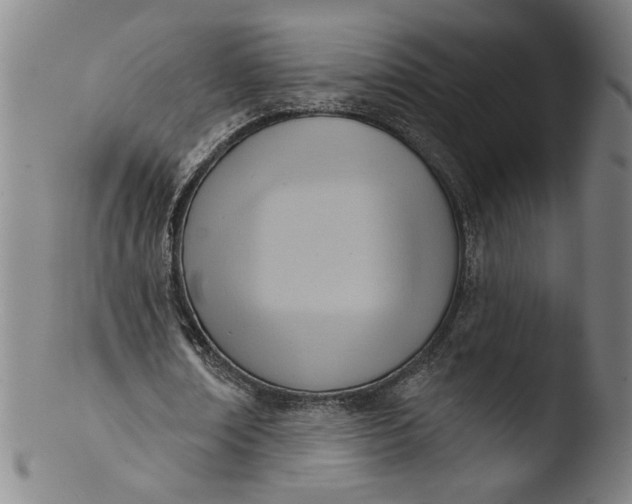 X0000103420674200809261707