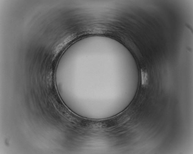 X0000103420675200809261707