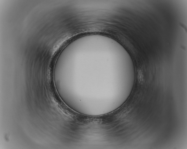 X0000103420676200809261707