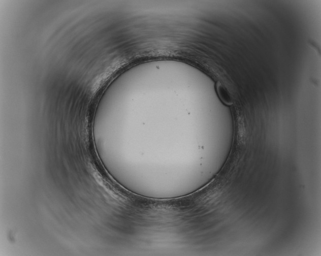 X0000103420677200809261707
