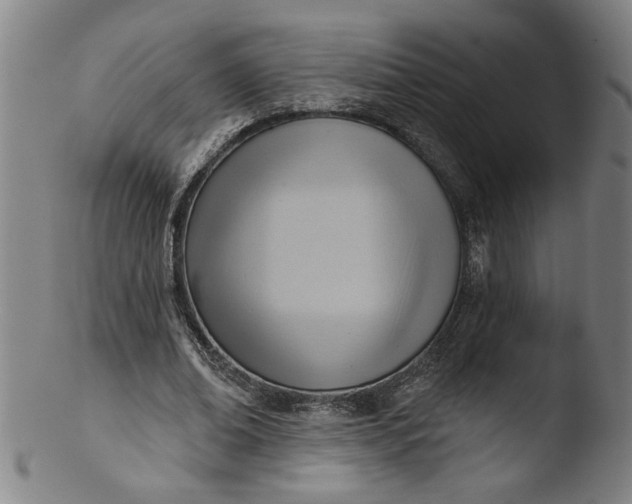 X0000103420678200809261707