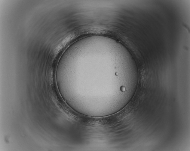 X0000103420679200809261707
