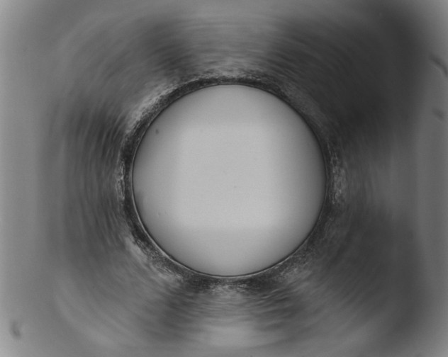 X0000103420680200809261707