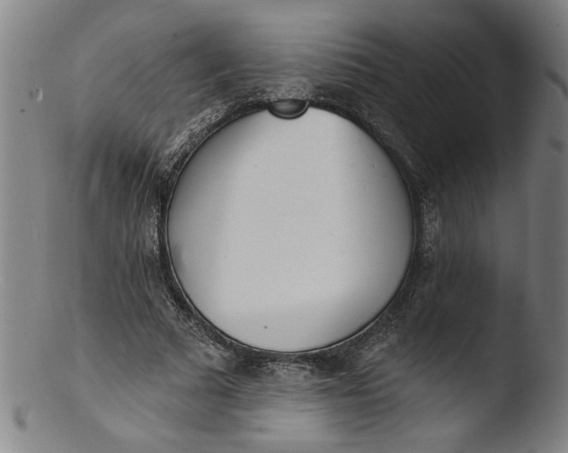 X0000103420681200809261707