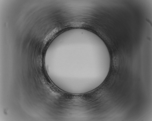 X0000103420682200809261707