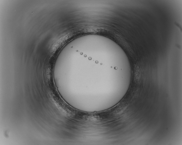 X0000103420683200809261707