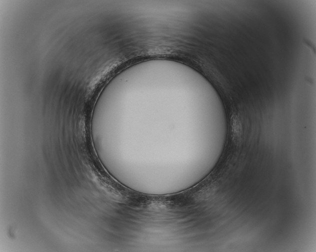 X0000103420684200809261707