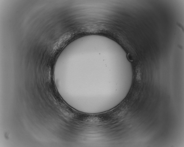 X0000103420685200809261707