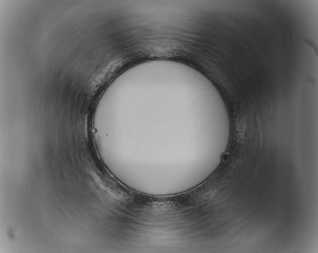 X0000103420686200809261707