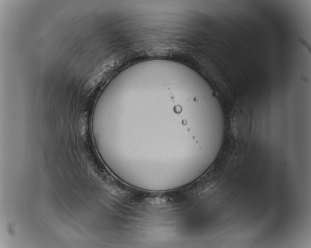 X0000103420687200809261707