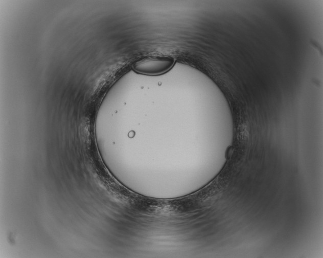 X0000103420688200809261707