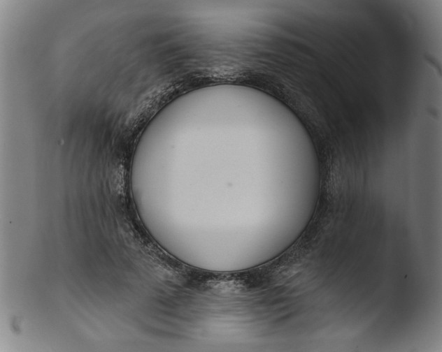 X0000103420689200809261707