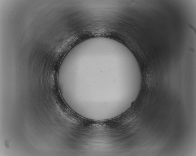 X0000103420690200809261707