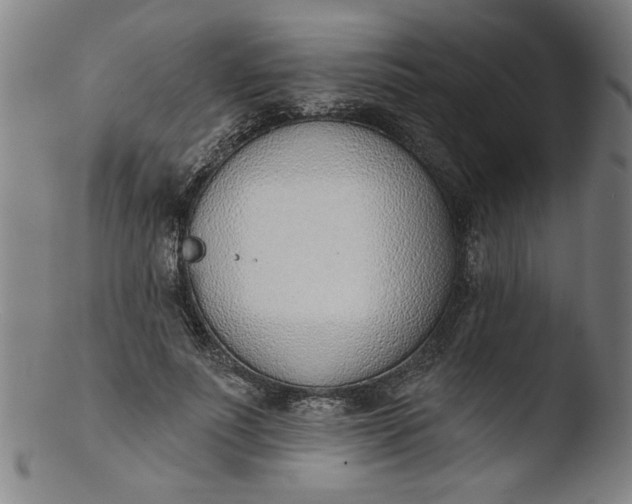 X0000103420691200809261707