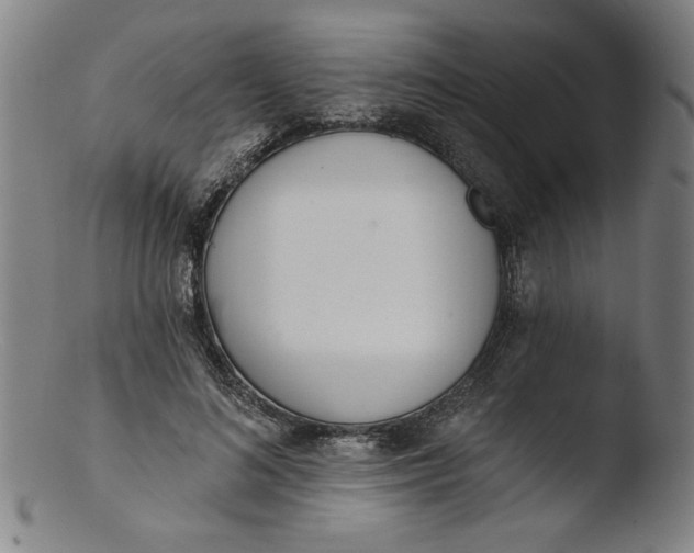 X0000103420692200809261707