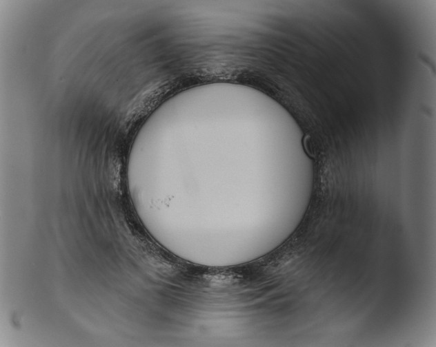 X0000103420693200809261707