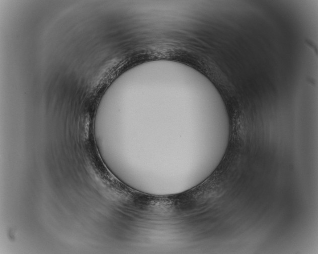X0000103420694200809261707
