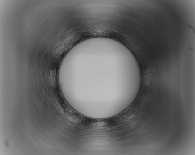 X0000103420695200809261707