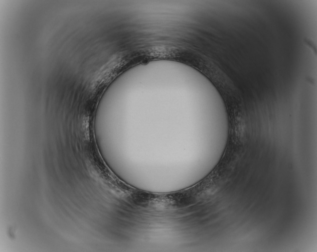 X0000103420696200809261707