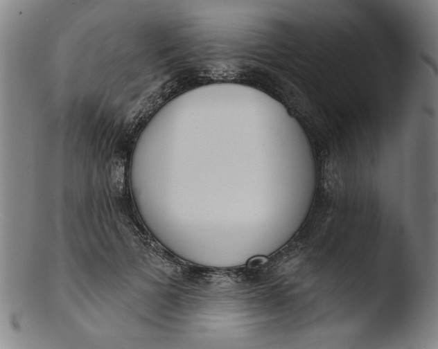 X0000103420697200809261707