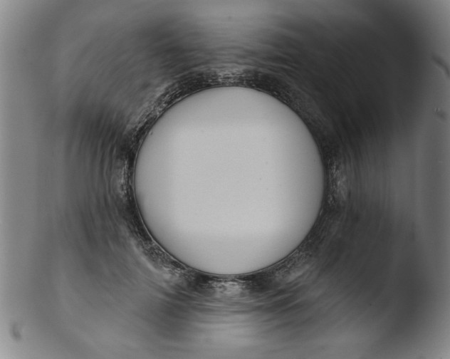 X0000103420698200809261707