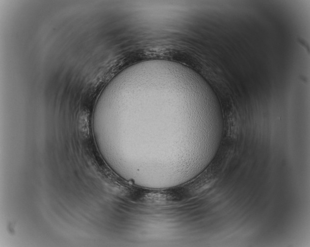 X0000103420699200809261707