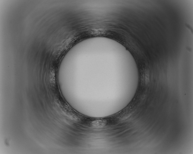 X0000103420700200809261707